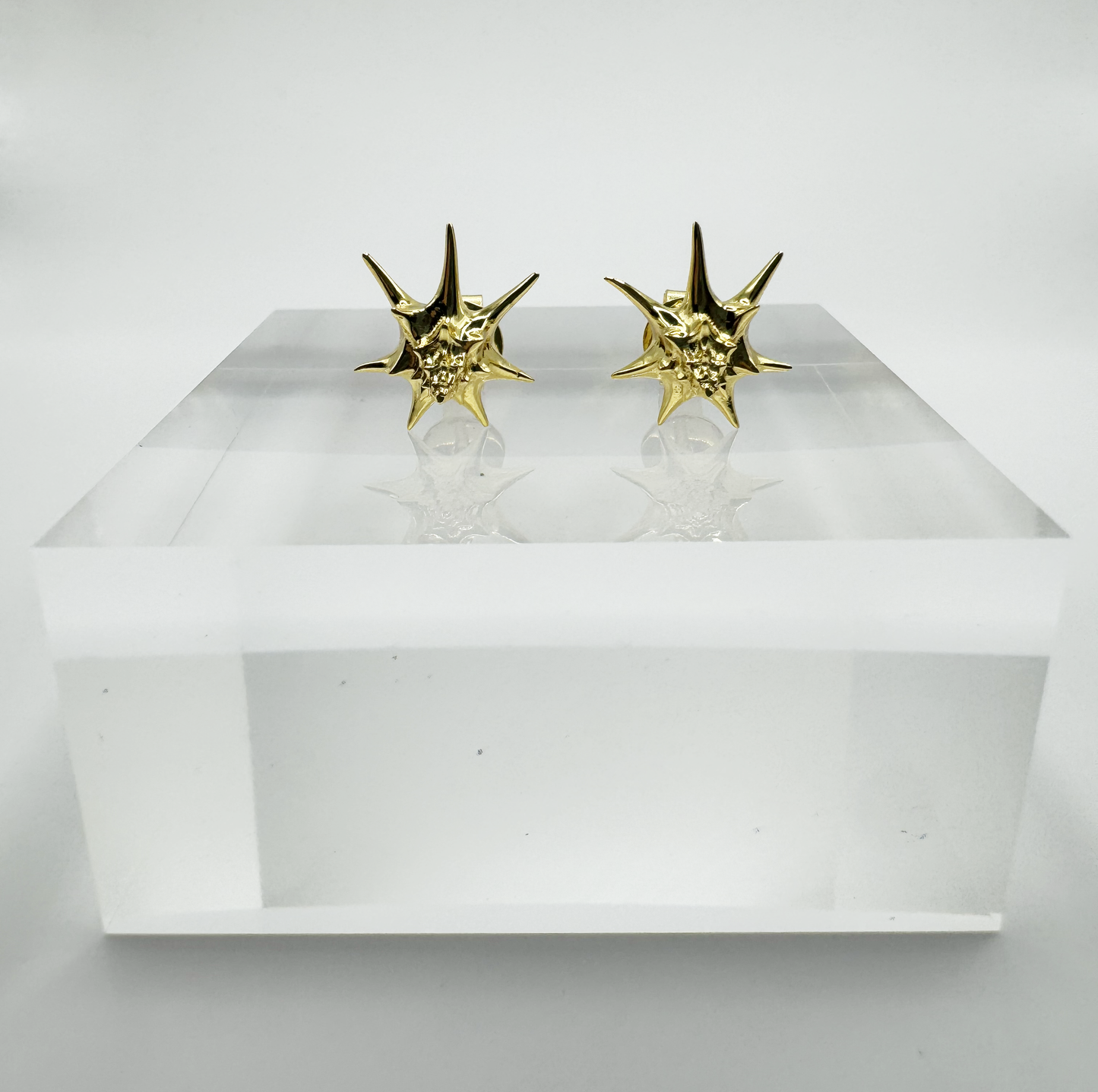 Spiky Konch Earrings
